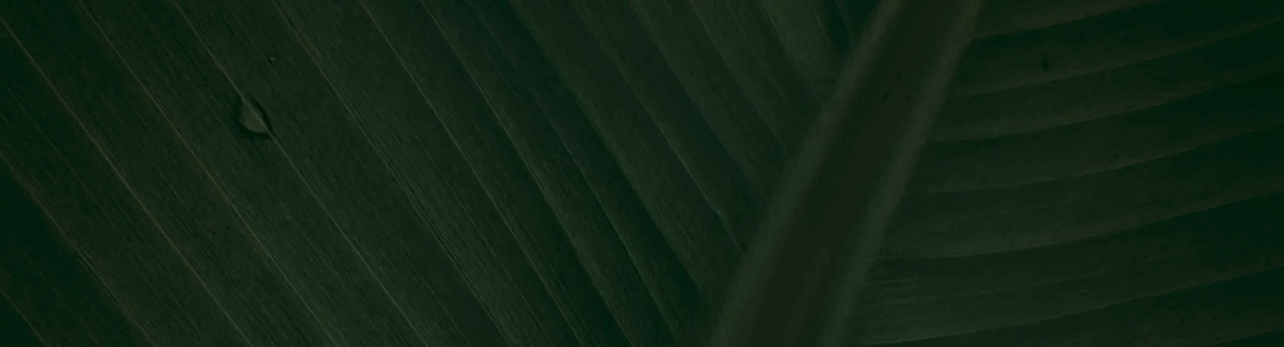 AWS Cloud Practitioner Essentials